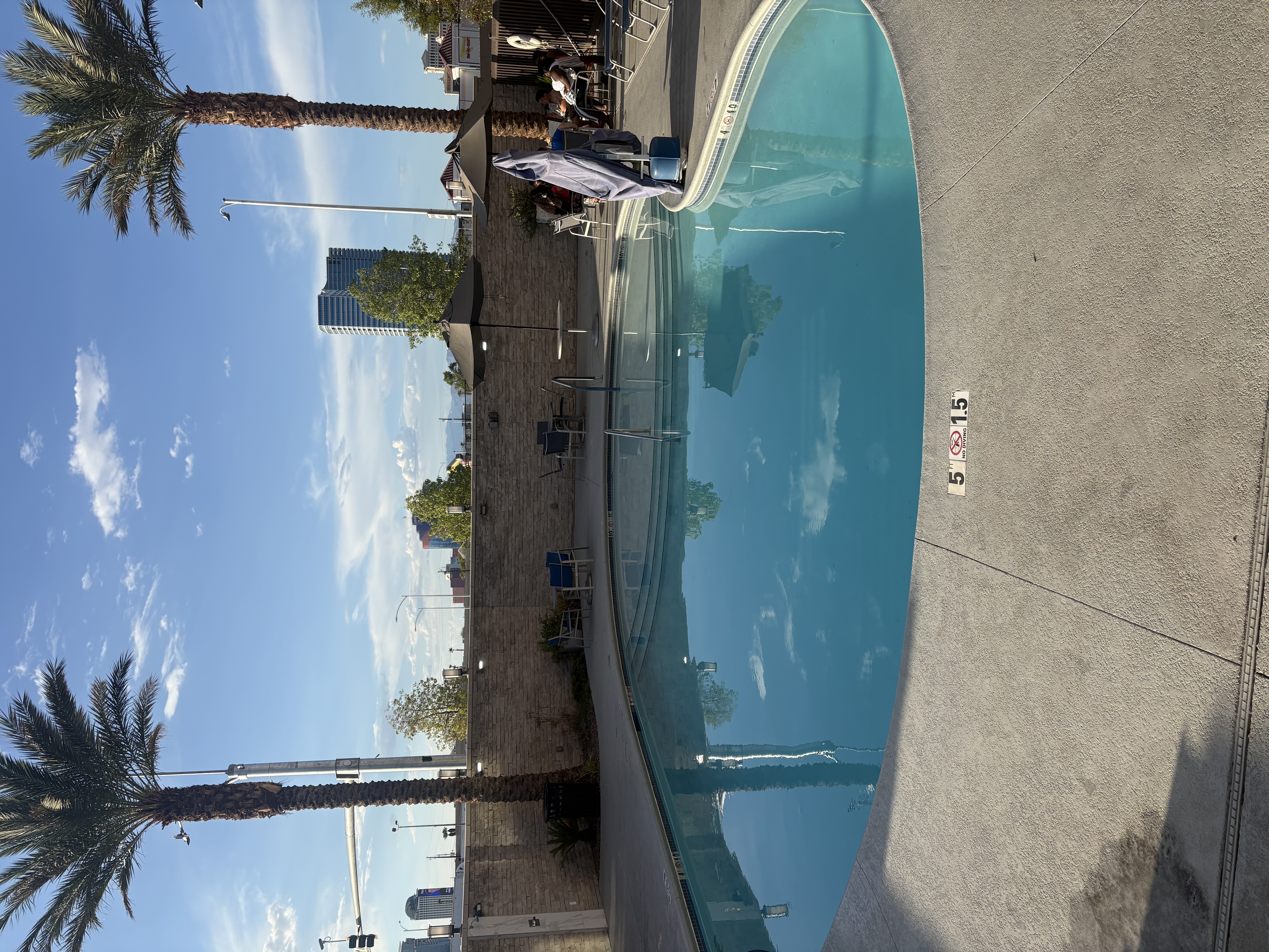 Kidney-shaped pool with palm tree and skyline at TownePlace Suites near Allegiant Stadium