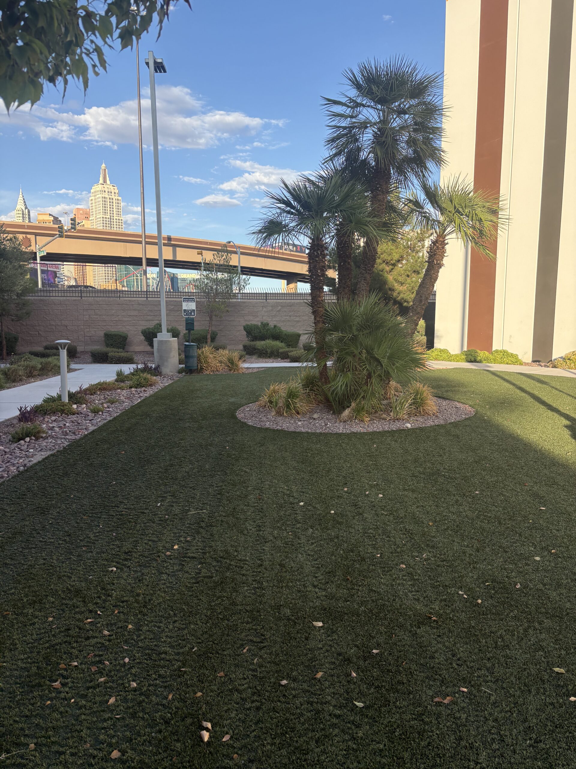Grassy pet relief area with palm trees at TownePlace Suites near Allegiant Stadium